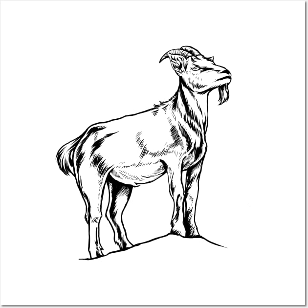 Line drawing - goat Wall Art by Modern Medieval Design